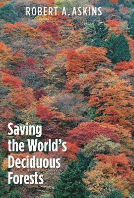 Robert A. Askins - Saving the World's Deciduous Forests: Ecological Perspectives from East Asia, North America, and Europe, Inbunden