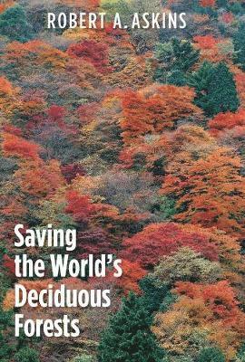 bokomslag Saving the World's Deciduous Forests