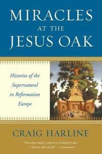 bokomslag Miracles at the Jesus Oak