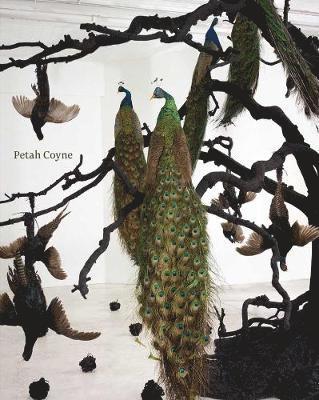 Petah Coyne 1