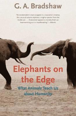 Elephants on the Edge 1