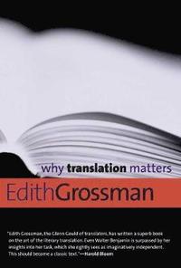 bokomslag Why Translation Matters