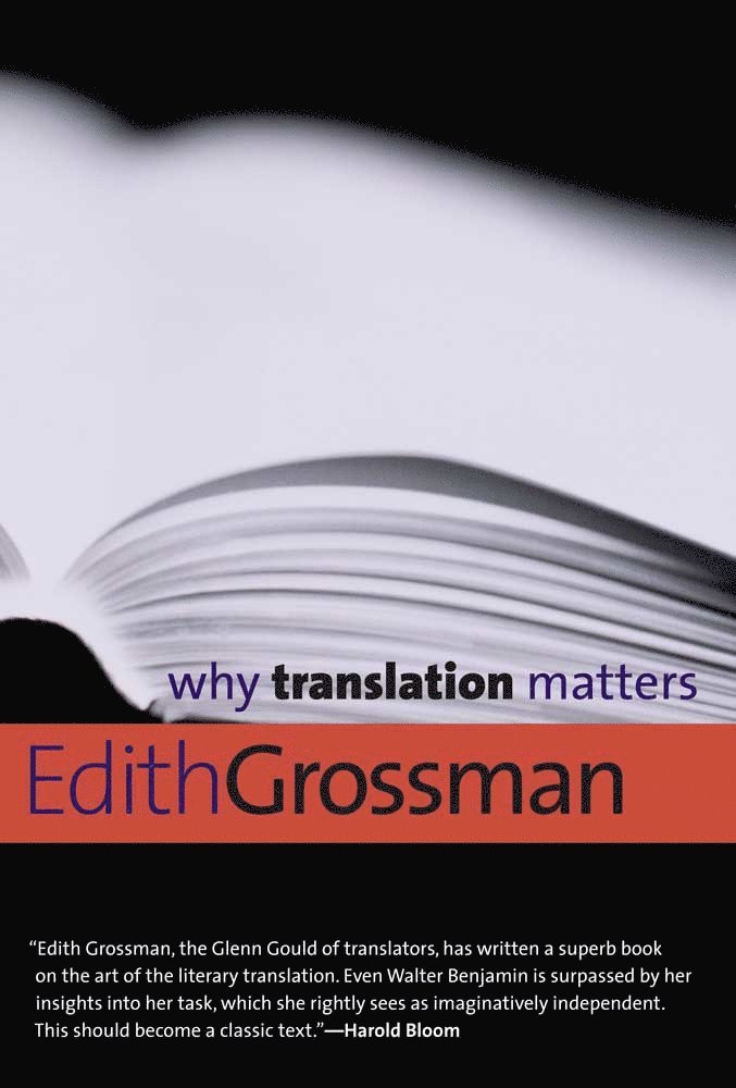 Edith Grossman - Why Translation Matters, Häftad