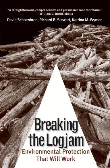 David Schoenbrod, Richard B. Stewart, Katrina M. Wyman - Breaking the Logjam, Häftad