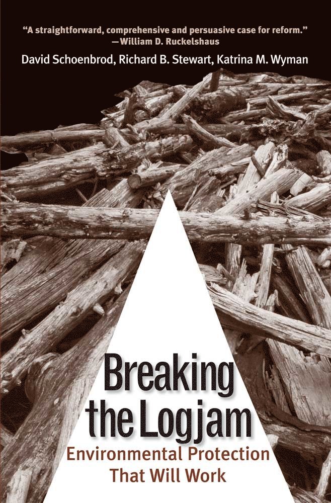 David Schoenbrod, Richard B. Stewart, Katrina M. Wyman - Breaking the Logjam, Häftad