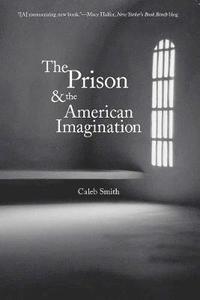 bokomslag The Prison and the American Imagination