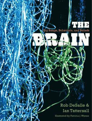 The Brain 1