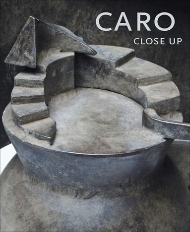 Julius Bryant, Martina Droth - Caro, Inbunden