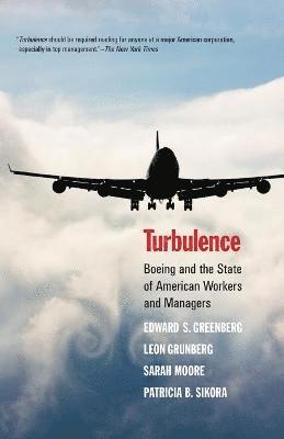 Edward S. Greenberg, Leon Grunberg, Sarah Moore, Patricia B. Sikora - Turbulence, Häftad
