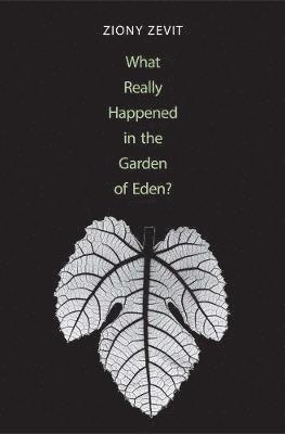 Ziony Zevit - What Really Happened in the Garden of Eden?, Inbunden