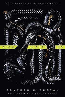 bokomslag Slow Lightning: Volume 106
