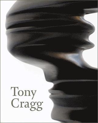 Tony Cragg 1