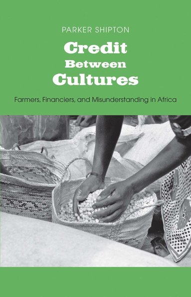 bokomslag Credit Between Cultures