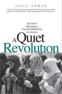 bokomslag A Quiet Revolution