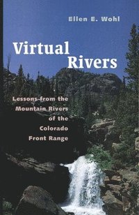 bokomslag Virtual Rivers