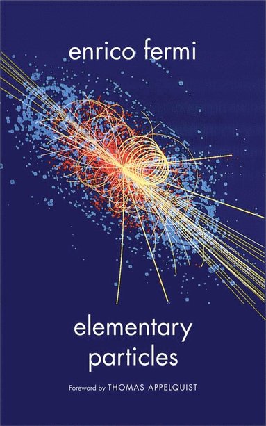 bokomslag Elementary Particles