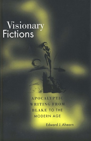 bokomslag Visionary Fictions