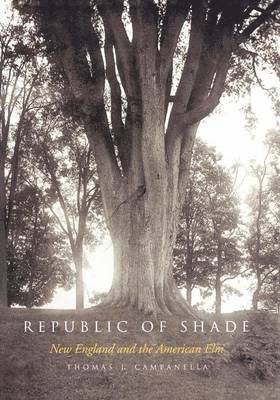 Republic of Shade 1