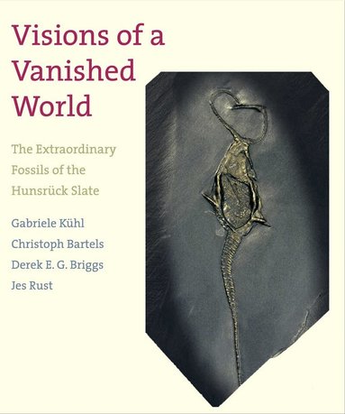 Gabriele Kühl, Christoph Bartels, Derek E. G. Briggs, Jes Rust - Visions of a Vanished World, Inbunden
