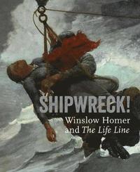 bokomslag Shipwreck! Winslow Homer and &quot;The Life Line&quot;