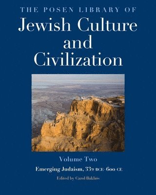 bokomslag Posen Library of Jewish Culture and Civilization, Volume 2