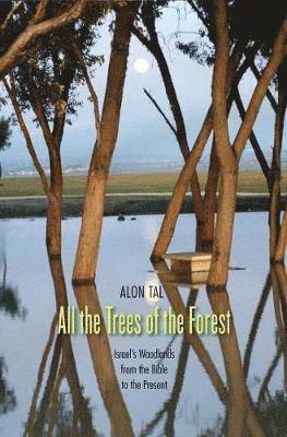 Alon Tal - All the Trees of the Forest, Inbunden