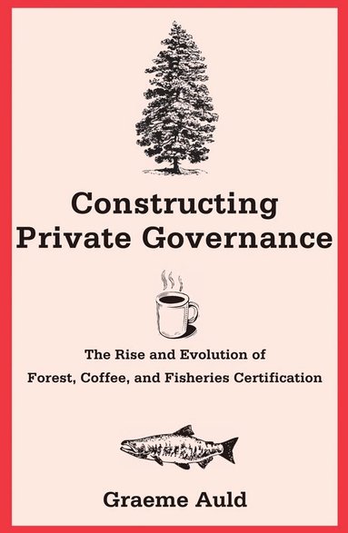 Graeme Auld - Constructing Private Governance, Häftad