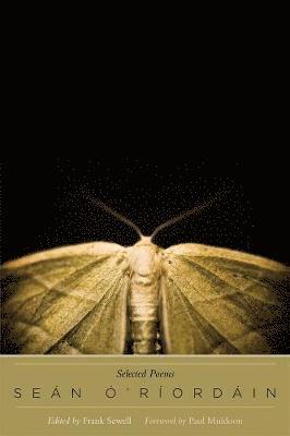 bokomslag Selected Poems/Rogha Danta