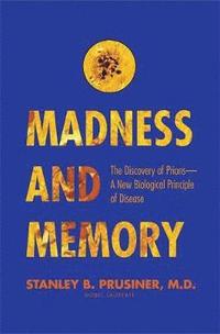 bokomslag Madness and Memory