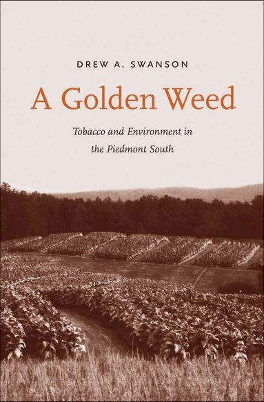 Drew A. Swanson - Golden Weed, Inbunden