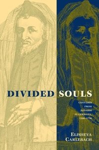 bokomslag Divided Souls
