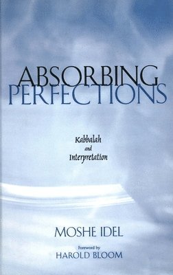 Moshe Idel - Absorbing Perfections, Häftad