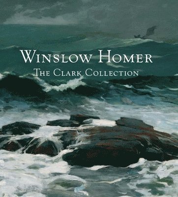 bokomslag Winslow Homer: The Clark Collection