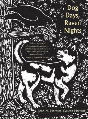 John M. Marzluff, Colleen Marzluff - Dog Days, Raven Nights, Häftad