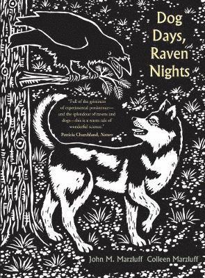 Dog Days, Raven Nights 1