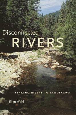 Ellen Wohl, Ellen E. Wohl - Disconnected Rivers, Häftad
