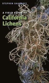 bokomslag A Field Guide to California Lichens