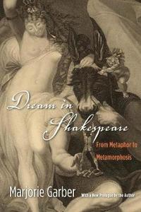 bokomslag Dream in Shakespeare
