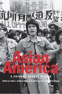 bokomslag Asian America