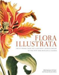 bokomslag Flora Illustrata
