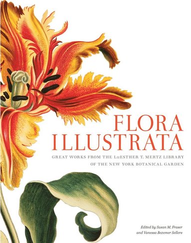 bokomslag Flora Illustrata