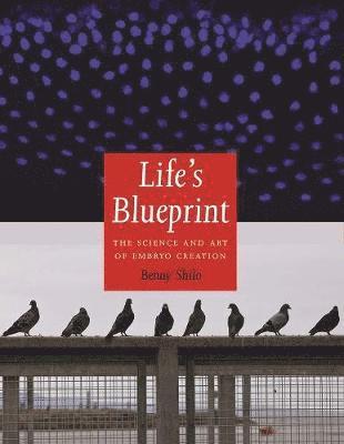 bokomslag Life's Blueprint: The Science and Art of Embryo Creation