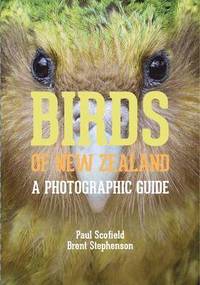 bokomslag Birds of New Zealand: A Photographic Guide