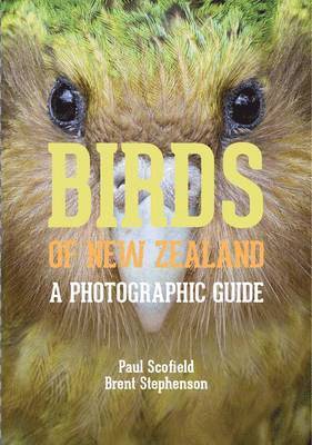 bokomslag Birds of New Zealand: A Photographic Guide