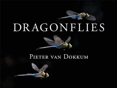 bokomslag Dragonflies