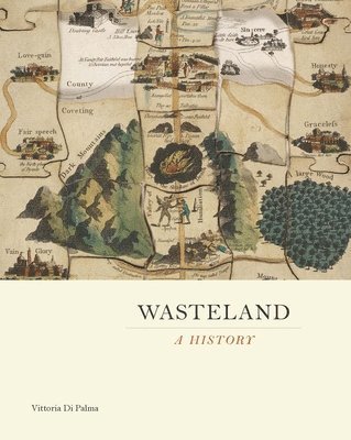 Wasteland 1