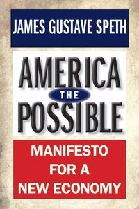 bokomslag America the Possible