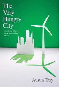 bokomslag The Very Hungry City: Urban Energy Efficiency and the Economic Fate of Cities