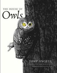 bokomslag The House of Owls