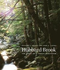 bokomslag Hubbard Brook